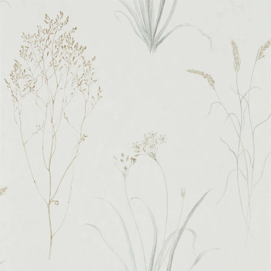 SANDERSON Farne Grasses Wallpaper Classic Floral Silver,Ivory  Gravure - Wide Width Printed Wallpaper - DEBB216487