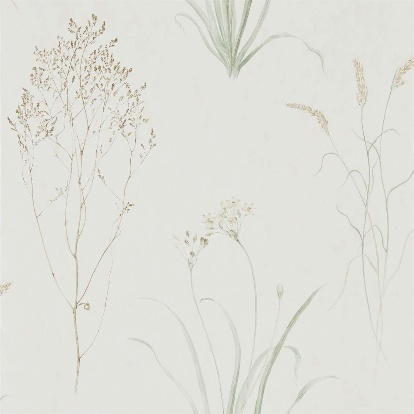 SANDERSON Farne Grasses Wallpaper Classic Floral Willow,Pebble  Gravure - Wide Width Printed Wallpaper - DEBB216488
