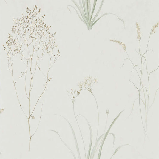 SANDERSON Farne Grasses Wallpaper Classic Floral Willow,Pebble  Gravure - Wide Width Printed Wallpaper - DEBB216488