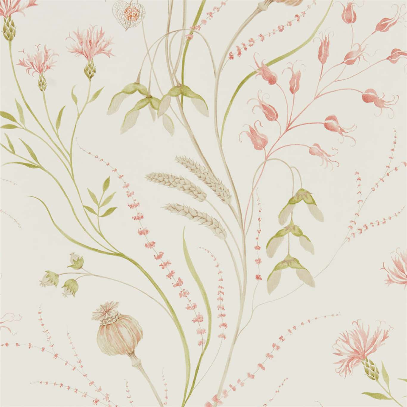 SANDERSON Summer Harvest  Wallpaper Classic Floral Claret,Olive  Gravure Printed Wallpaper - DEBB216495