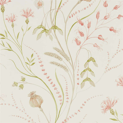 SANDERSON Summer Harvest  Wallpaper Classic Floral Claret,Olive  Gravure Printed Wallpaper - DEBB216495