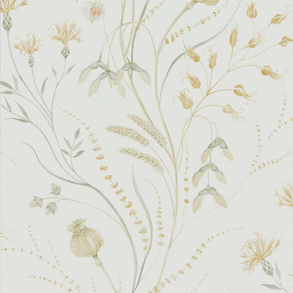Summer Harvest Silver Corn Sanderson wallpaper, botanical trailing floral design inspired by British countryside hedgerows, soft silver tones, luxury nature wallpaper for feature wall, elegant classic interior décor for home styling