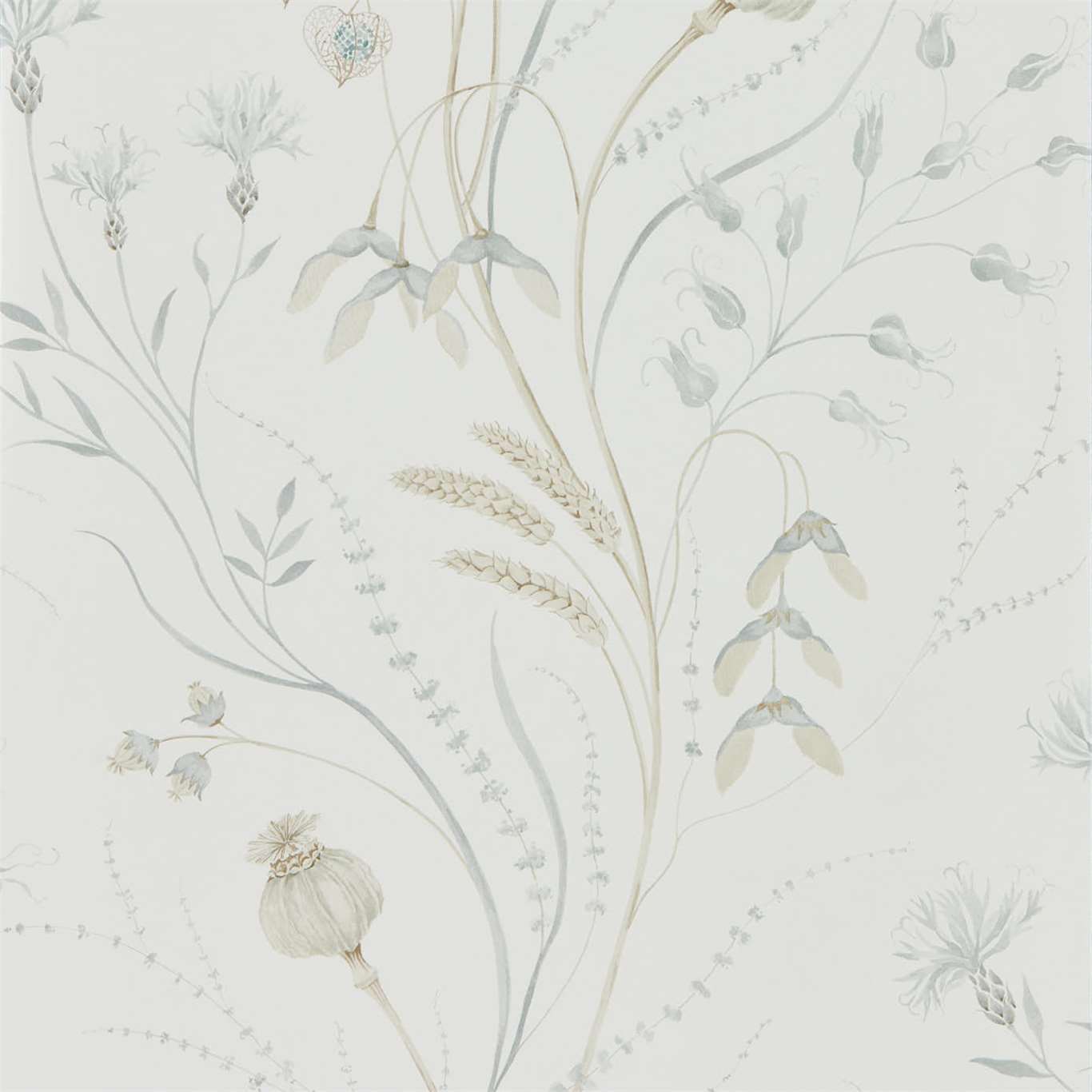 SANDERSON Summer Harvest  Wallpaper Classic Floral Silver,Chalk  Gravure Printed Wallpaper - DEBB216498
