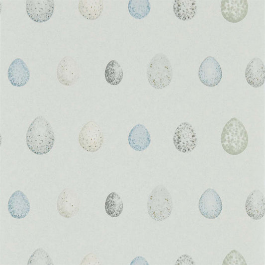 SANDERSON Nest Egg  Wallpaper Other Marine Aqua  Gravure Printed Wallpaper - DEBB216504