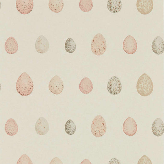 SANDERSON Nest Egg  Wallpaper Other Blush pink  Gravure Printed Wallpaper - DEBB216506
