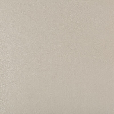 KRAVET DESIGN VINYL/FAUX LEATHER TEXTURE GREY,WHEAT,   - DEIMOS.111.0