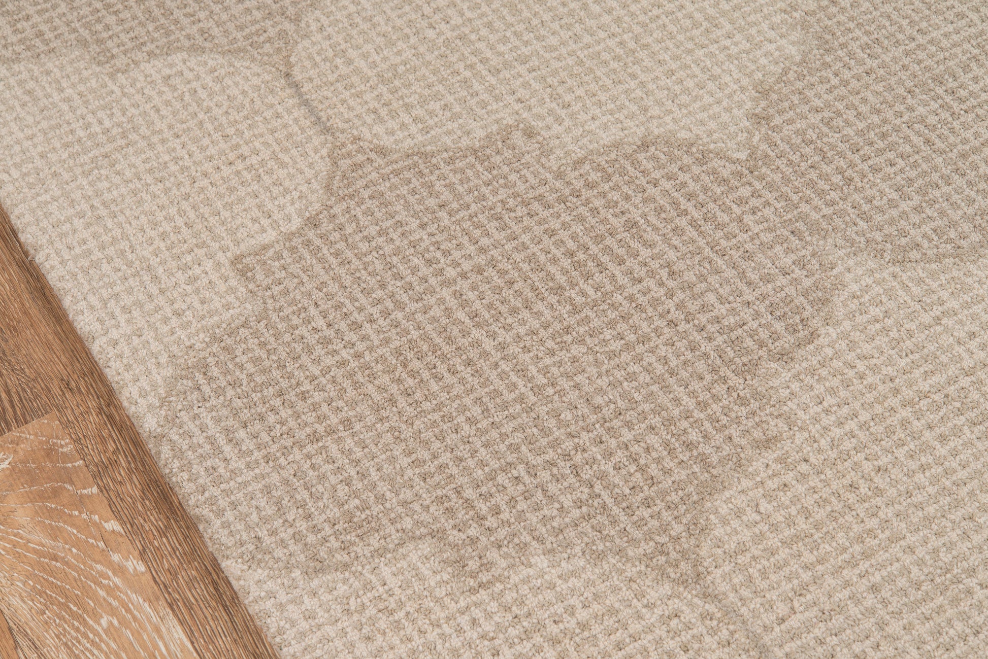 Beige and taupe abstract patterned area rug with soft texture; wood floor edge visible on the left.