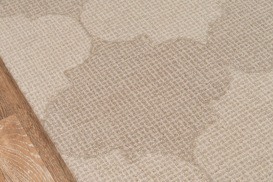 Beige and taupe abstract patterned area rug with soft texture; wood floor edge visible on the left.