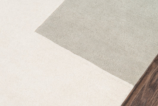 Beige and gray rug runner on wood floor, showing textured pile and tonal variation, 2' x 8'.