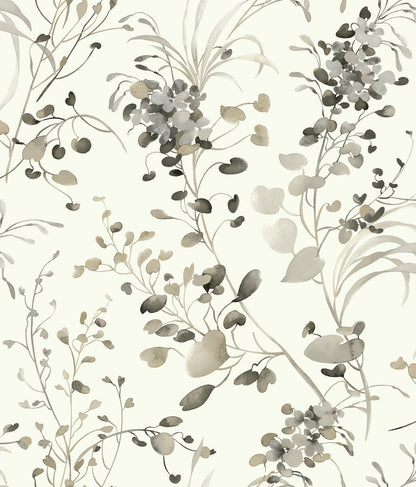 York Wallcoverings Candice Olson Decadence II Spring Whispers Charcoal Wallpaper Transitional Botanical Whites and Off-Whites   - DF3342