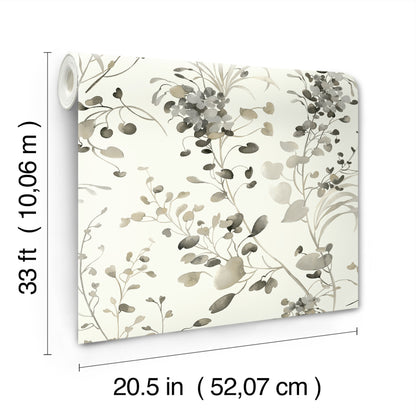 York Wallcoverings Candice Olson Decadence II Spring Whispers Charcoal Wallpaper Transitional Botanical Whites and Off-Whites   - DF3342