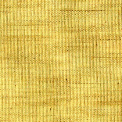 DONGHIA HEMP I GRASSCLOTH---TEXTURE CAMEO   - DG-0G970.005.0