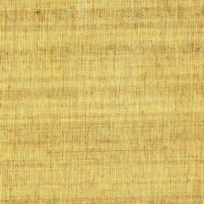 DONGHIA HEMP I GRASSCLOTH---TEXTURE TWILIGHT   - DG-0G970.018.0