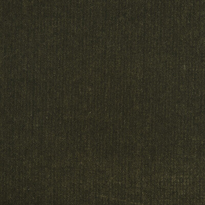 DONGHIA VELVET TEXTURE ,,   - DG-10158.024.0