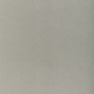 DONGHIA VELVET TEXTURE LIGHT GREY,LIGHT GREY,GREY   - DG-10158.1101.0