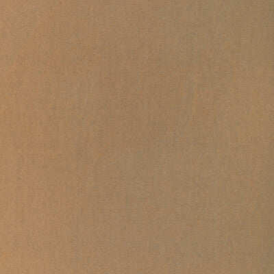 DONGHIA VELVET TEXTURE BEIGE,BEIGE,BEIGE   - DG-10158.16.0