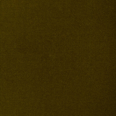 DONGHIA VELVET TEXTURE OLIVE GREEN,OLIVE GREEN,GREEN   - DG-10158.23.0