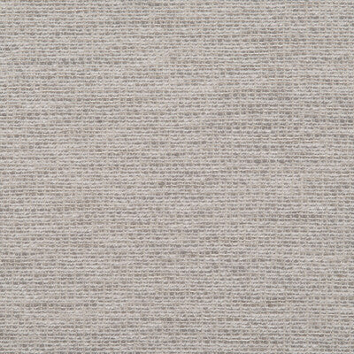 DONGHIA CHENILLE TEXTURE ,,   - DG-10301.009.0