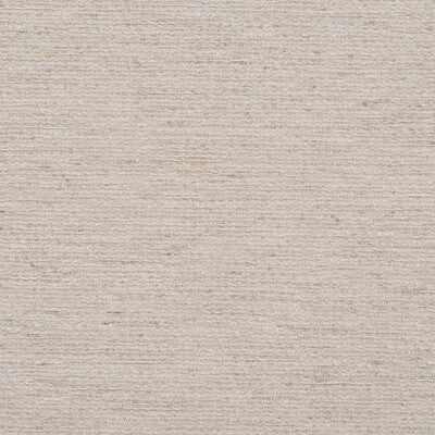 DONGHIA CHENILLE TEXTURE ,,   - DG-10301.010.0