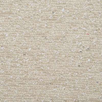 DONGHIA CHENILLE TEXTURE ,,   - DG-10323.008.0