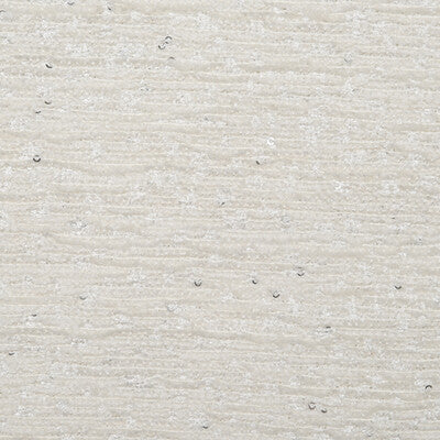 DONGHIA CHENILLE TEXTURE ,,   - DG-10323.010.0