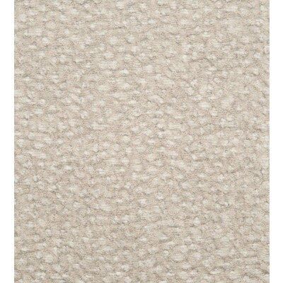 DONGHIA CHENILLE TEXTURE ,,   - DG-10350.009.0