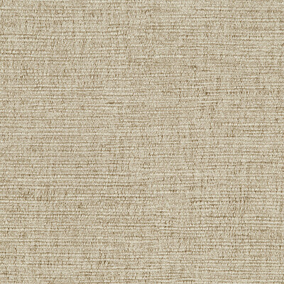 DONGHIA BF DG:: VINYL/FAUX LEATHER--TEXTURE- PARCHMENT   - DG-20048.018.0