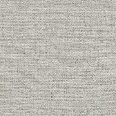 DONGHIA BF DG:: VINYL/FAUX LEATHER--TEXTURE- WARM GRAY   - DG-20048.030.0