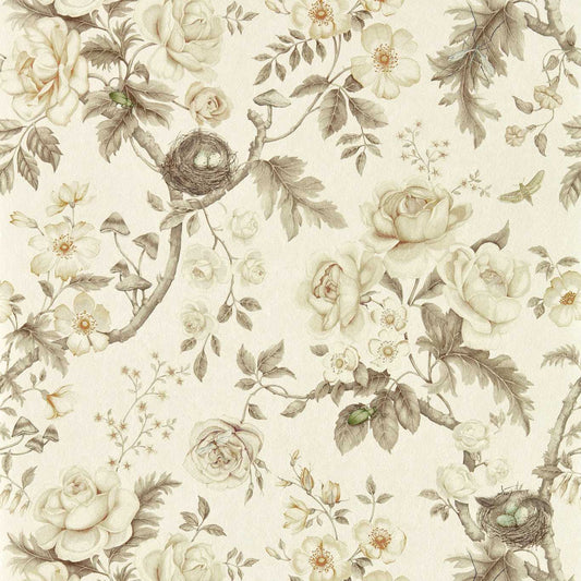 SANDERSON Tansy Bloom Wallpaper Classic Floral Oyster  Digital Printed Wallpaper Wide Width - DGDW217315