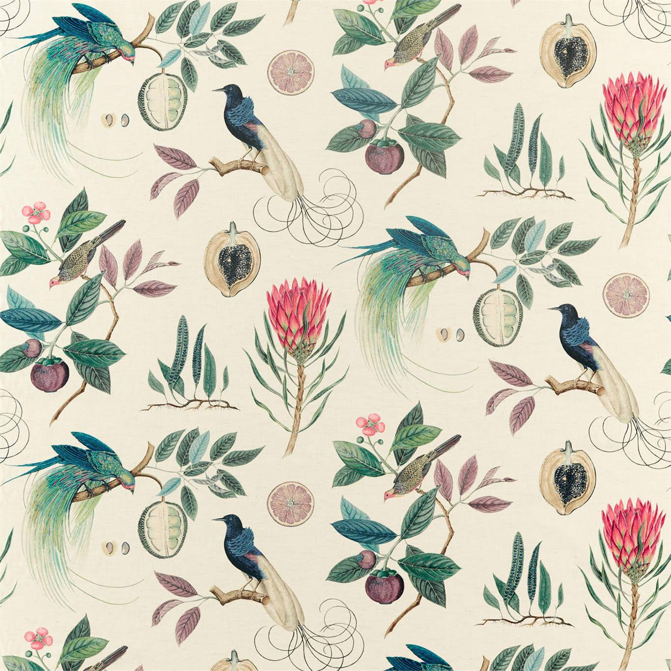 SANDERSON Paradesia Fabric Birds Fig,Indigo   - DGLA226565