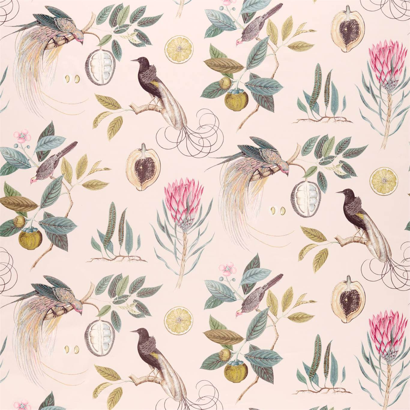 SANDERSON Paradesia Fabric Birds Orchid,Grey   - DGLA226566