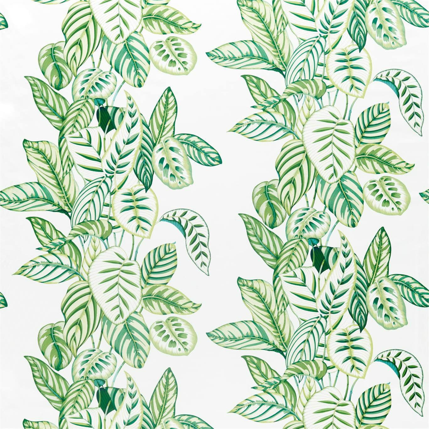 SANDERSON Calathea Fabric Leaves , Trees Botanical Green   - DGLA226575