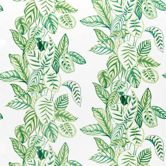 SANDERSON Calathea Fabric Leaves , Trees Botanical Green   - DGLA226575