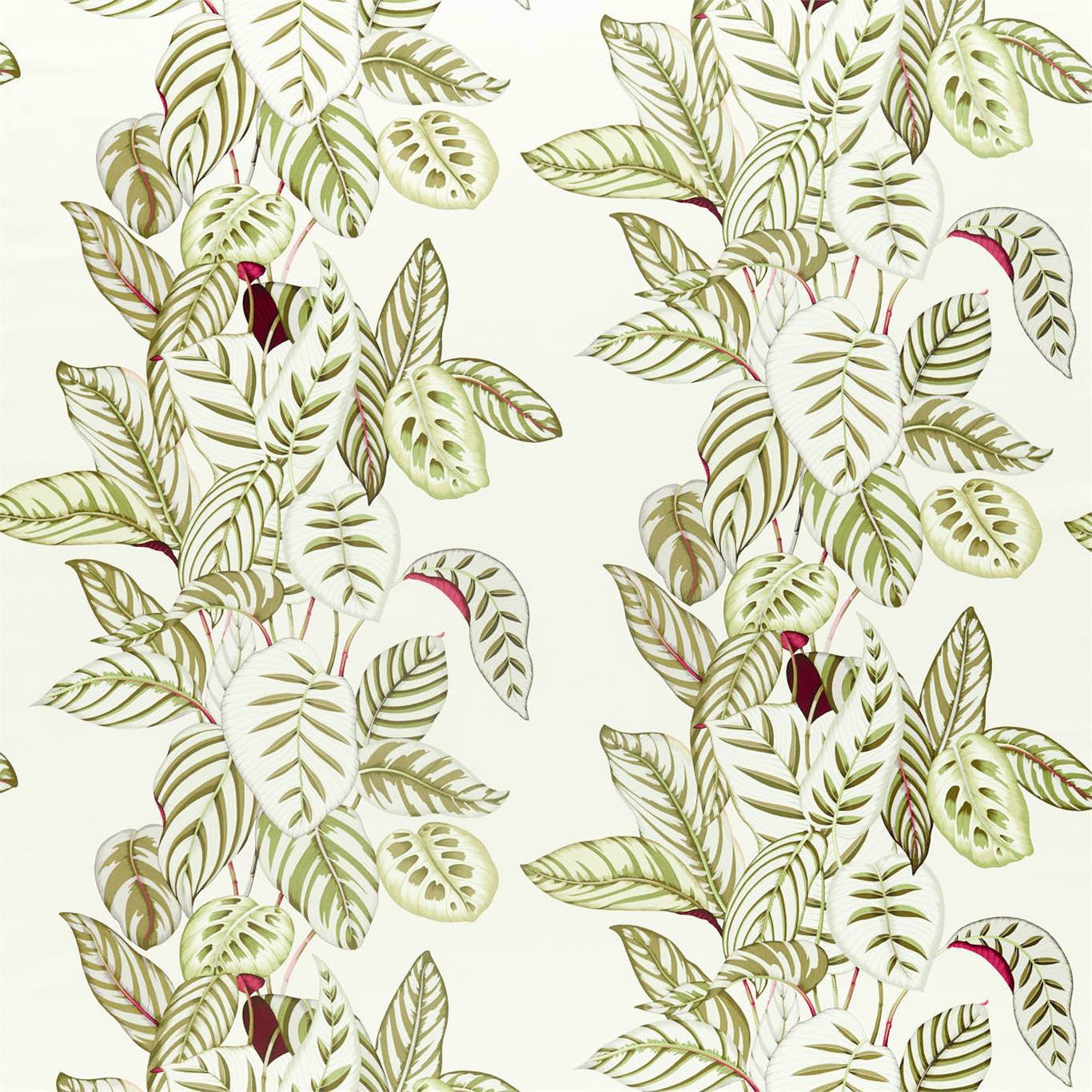 SANDERSON Calathea Fabric Leaves , Trees Olive   - DGLA226576