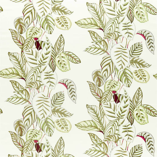 SANDERSON Calathea Fabric Leaves , Trees Olive   - DGLA226576