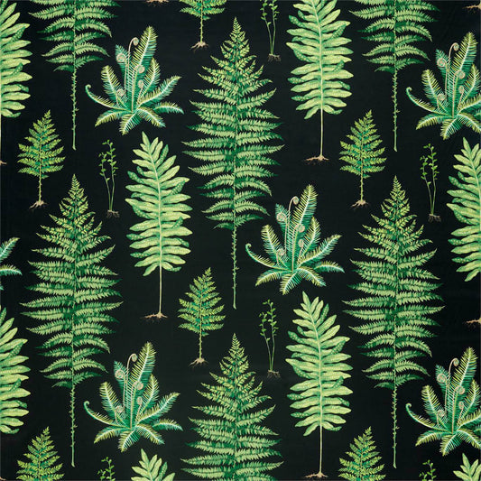 SANDERSON Fernery Fabric Leaves , Trees Botanical Green,Charcoal   - DGLA226577