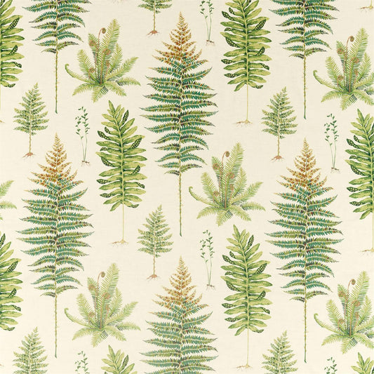 SANDERSON Fernery Fabric Leaves , Trees Olive   - DGLA226578