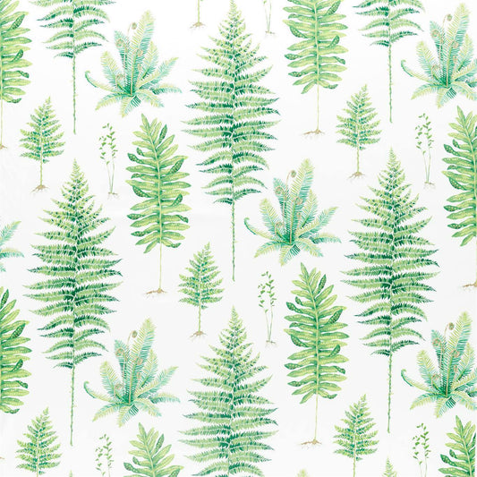 SANDERSON Fernery Fabric Leaves , Trees Botanical Green   - DGLA226579