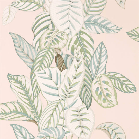 SANDERSON Calathea  Wallpaper Leaves , Trees Orchid,Eucalyptus  Gravure - Wide Width Printed Wallpaper - DGLW216632