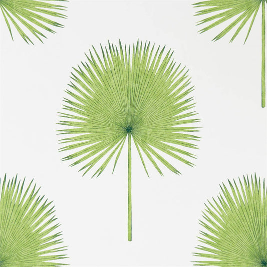 SANDERSON Fan Palm Wallpaper Leaves , Trees Botanical Green  Gravure Printed Wallpaper - DGLW216636