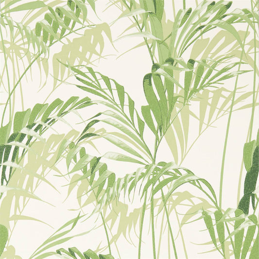 SANDERSON Palm House Wallpaper Leaves , Trees Botanical Green  Surflex-Printed Wallpaper - DGLW216643