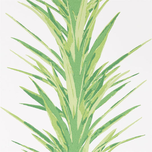 SANDERSON Yucca Wallpaper Leaves , Trees Botanical Green  Surface- Printed Wallpaper - DGLW216649