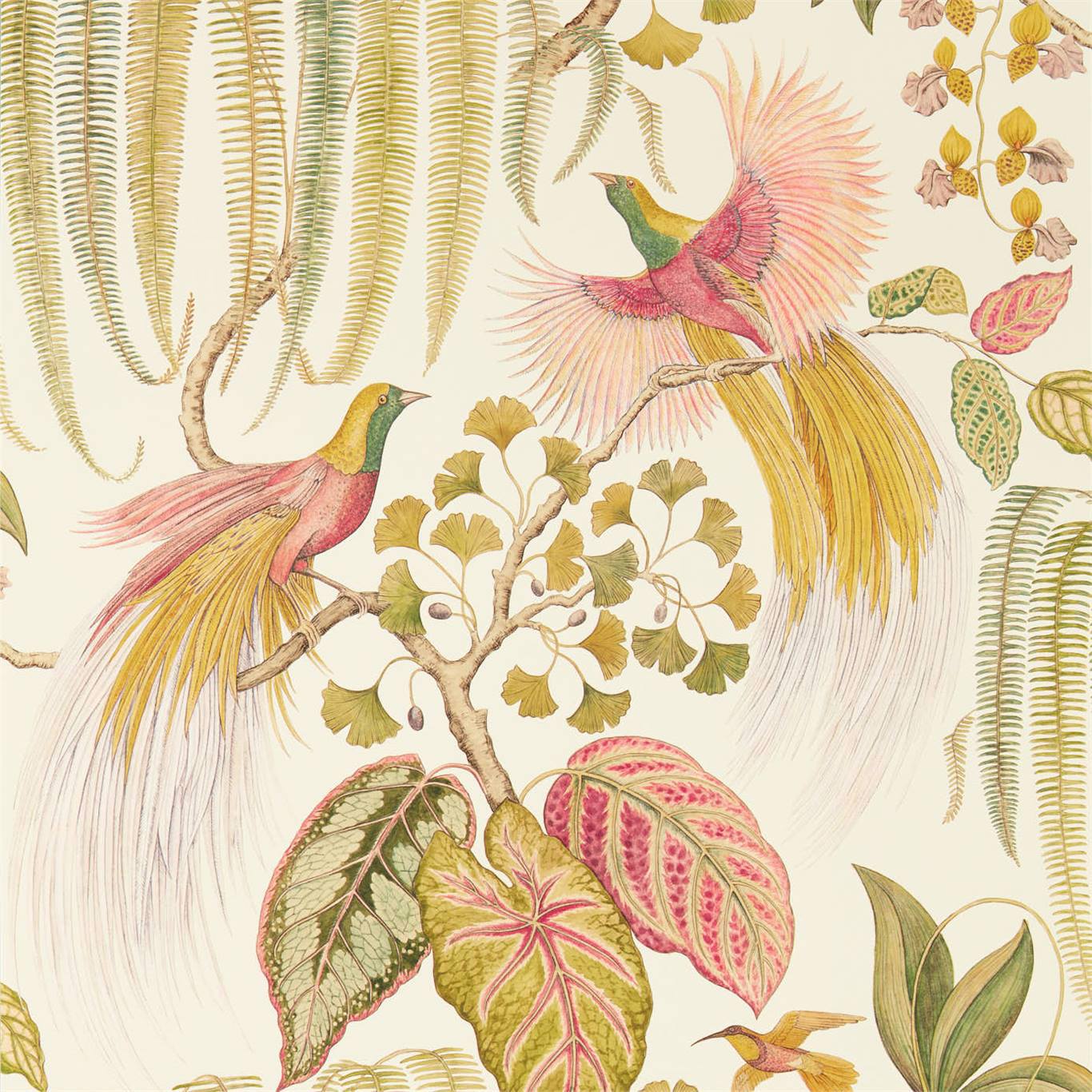SANDERSON Bird of Paradise Wallpaper Leaves , Trees Olive  Gravure - Wide Width Printed Wallpaper - DGLW216653