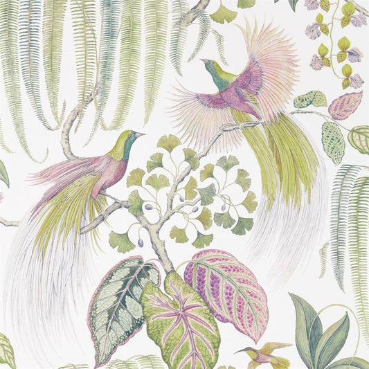 SANDERSON Bird of Paradise Wallpaper Leaves , Trees Orchid  Gravure - Wide Width Printed Wallpaper - DGLW216654