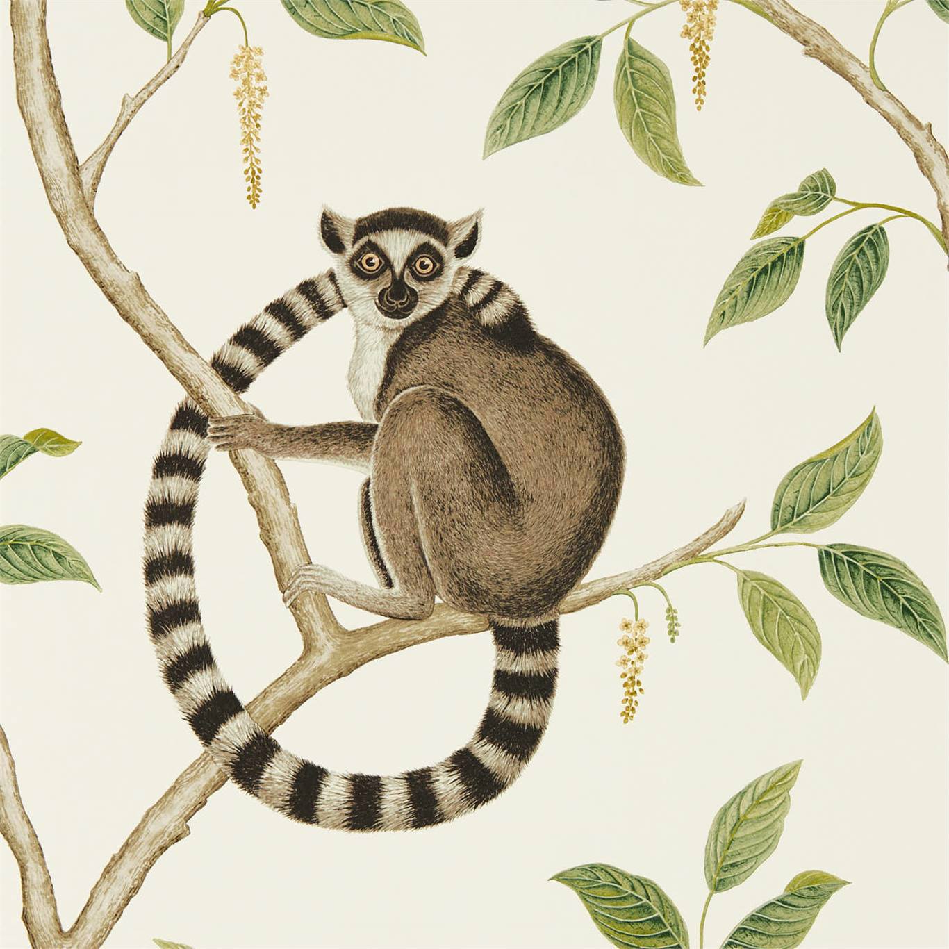 SANDERSON Ringtailed Lemur Wallpaper Animals Cream,Olive  Gravure Printed Wallpaper - DGLW216664