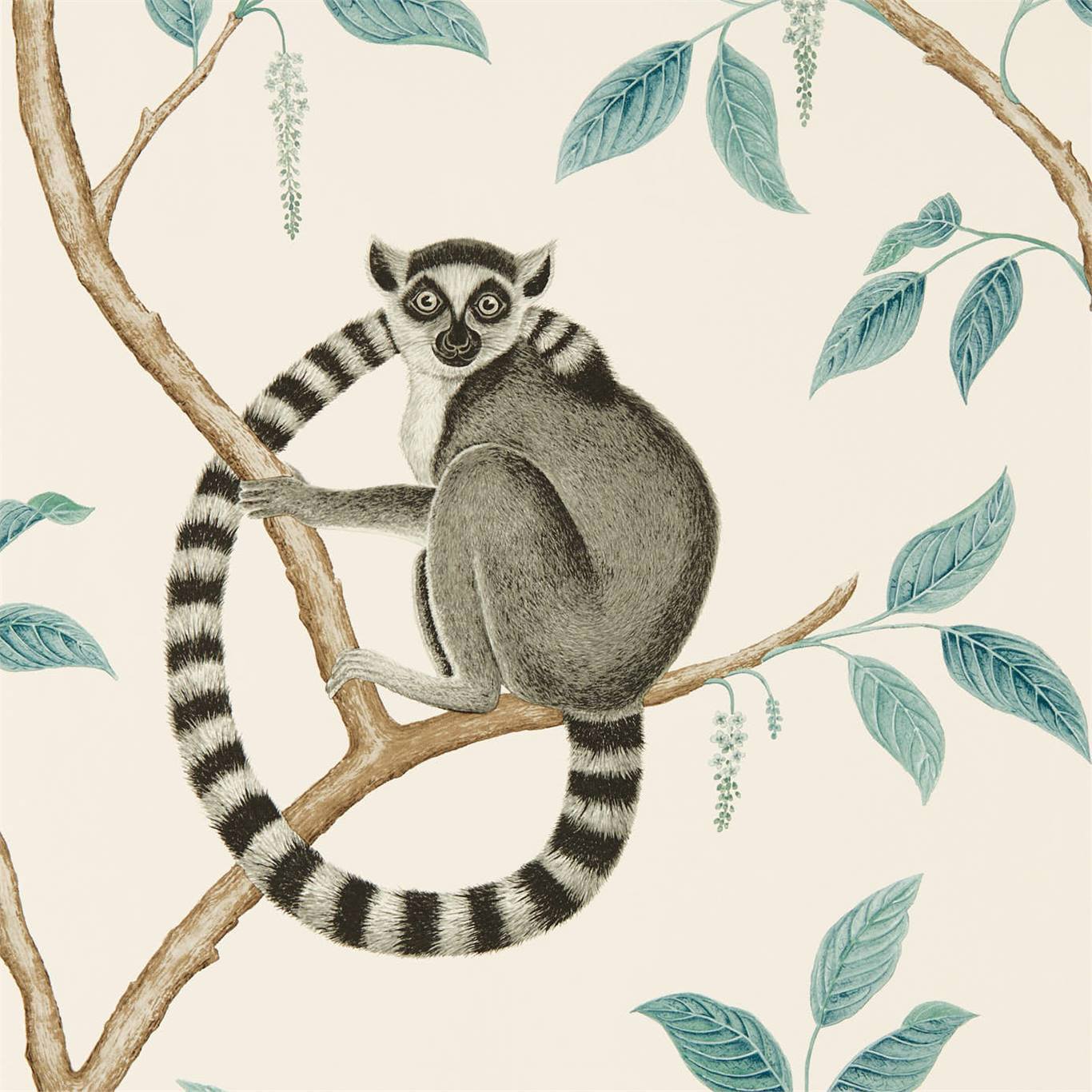 SANDERSON Ringtailed Lemur Wallpaper Animals Stone,Eucalyptus  Gravure Printed Wallpaper - DGLW216665