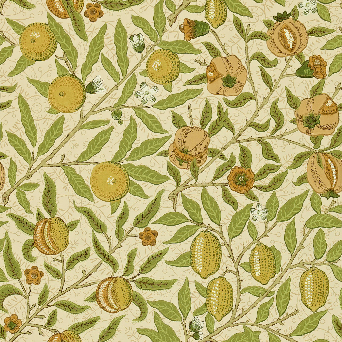 MORRIS & CO Fruit Wallpaper Leaves , Trees Green,Tan  Surface- Printed Wallpaper - DGW1FU102