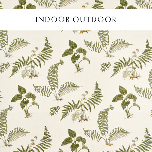 SANDERSON Hosta & Fern Fabric Leaves , Trees Olivine   - DHIF227337