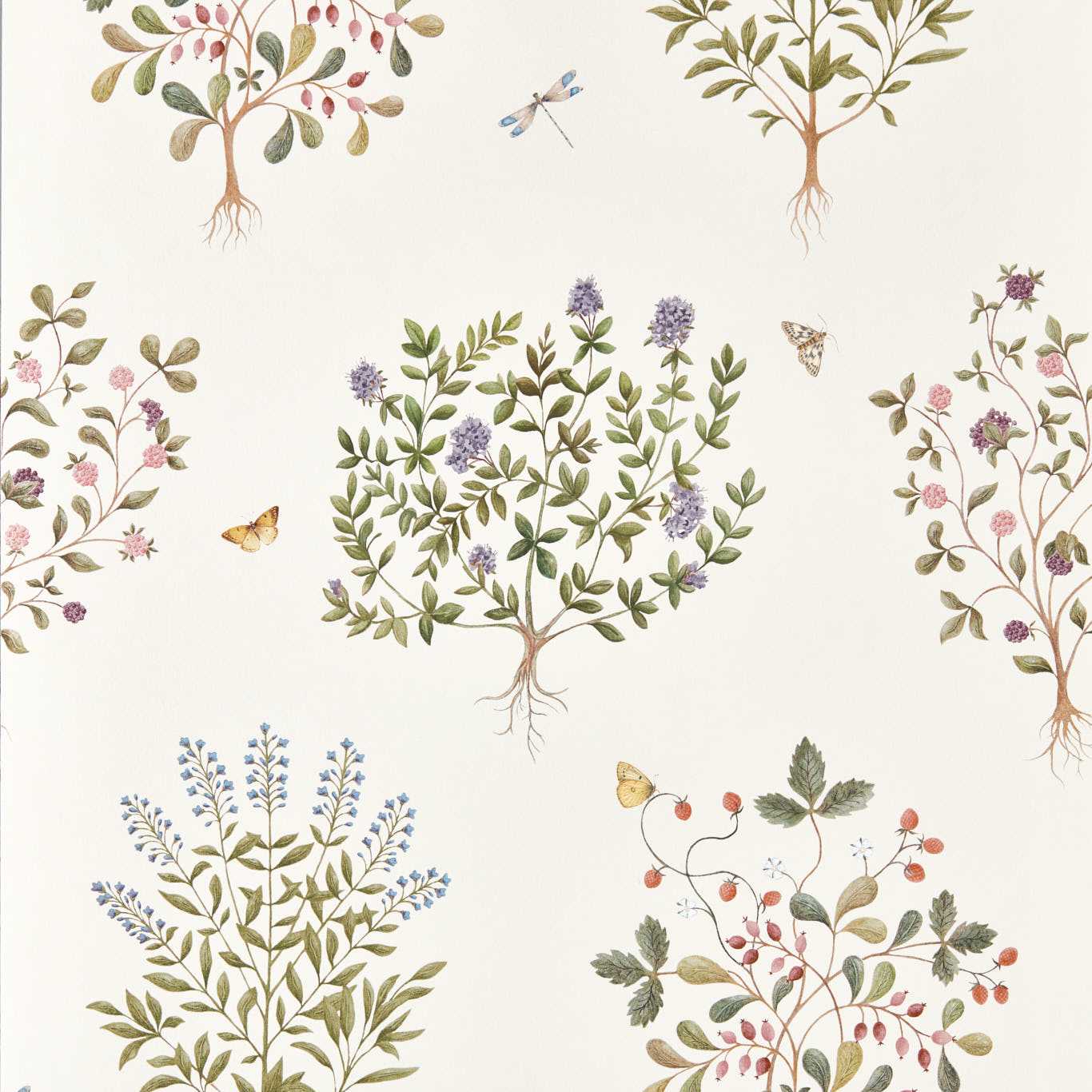 SANDERSON Thyme Walk Wallpaper Leaves , Trees Damson,Quince  Digital Printed Wallpaper Wide Width - DHIP217509