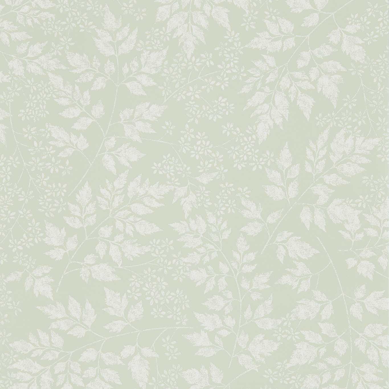 SANDERSON Spring Leaves Wallpaper Leaves , Trees Celadon  Flexo-Printed Wallpaper - DHPO216372